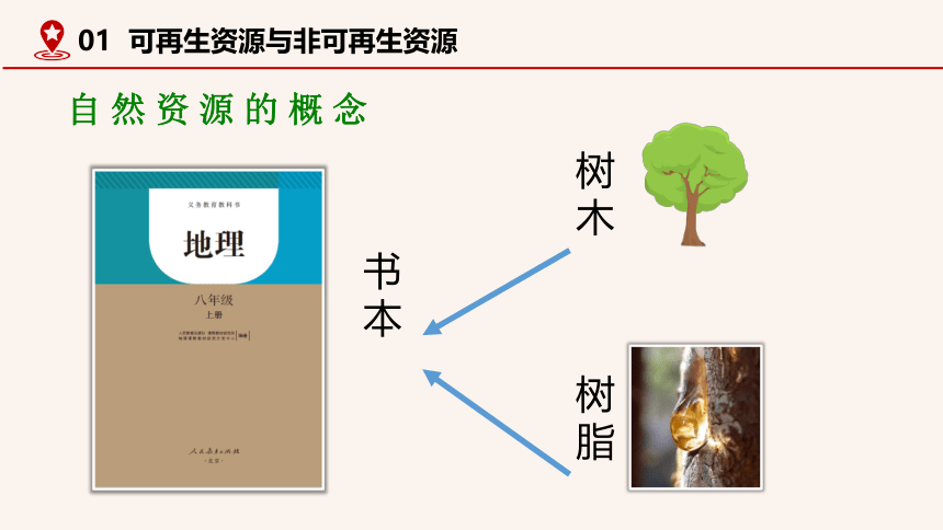 3.1 自然资源的基本特征 2021-2022学年人教版八年级地理上册课件(38张PPT)