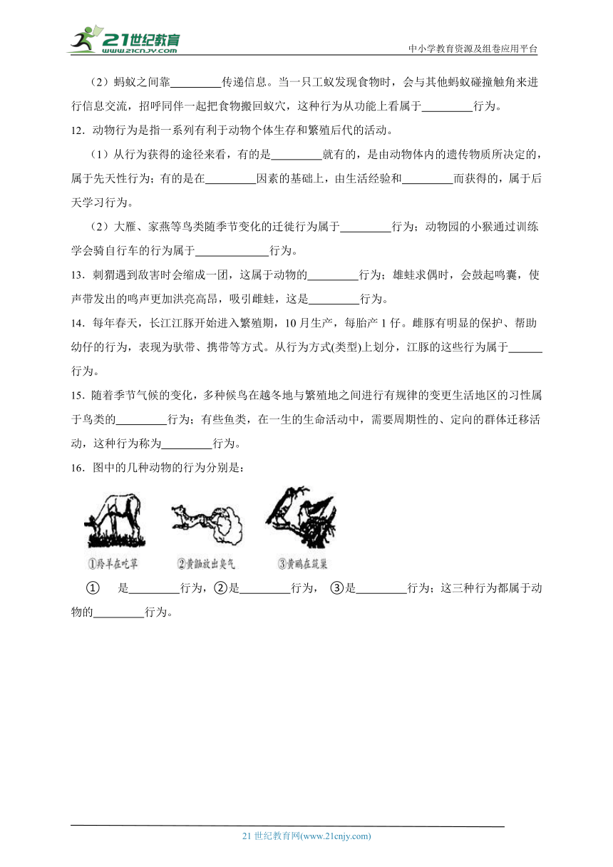 华师大版科学 八下 7.1动物的行为 课时训练（含答案）