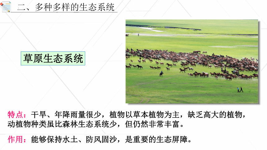 1.2.3 生物圈是最大的生态系统课件(共27张PPT) 2022-2023学年人教版生物七年级上册