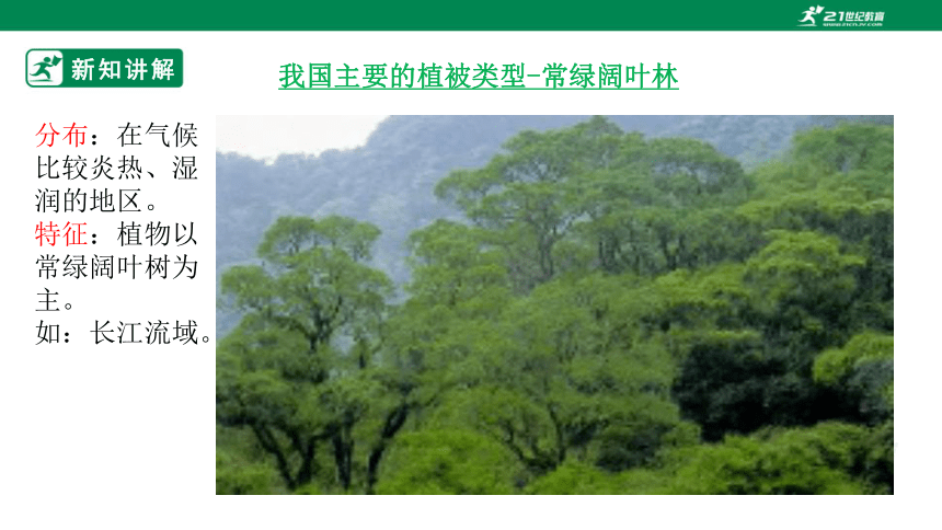 3.6.1 爱护植被，绿化祖国-2022-2023学年七年级生物上册同步课件（人教版）(共29张PPT)