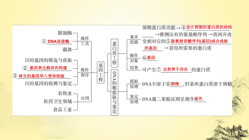 新人教生物二轮复习课件16 基因工程(课件共42张PPT)