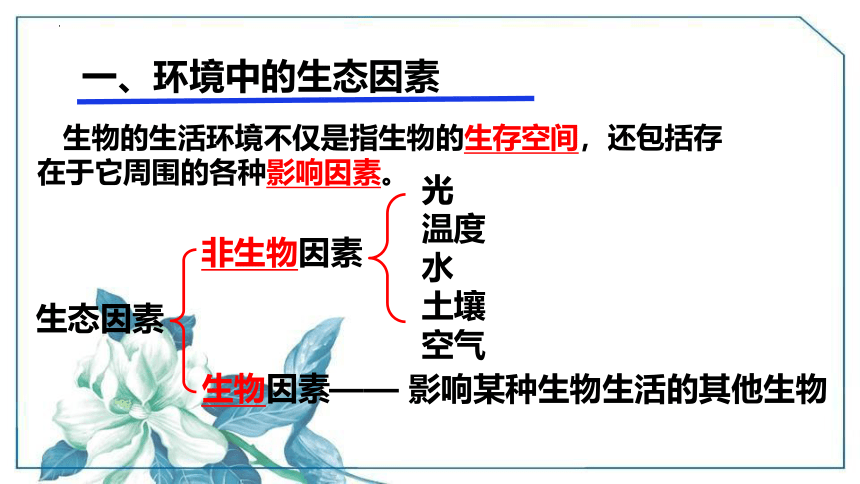 2022--2023学年人教版生物七年级上册 2.1.1生物与环境的关系 第一课时课件（ 含视频 共31张PPT）