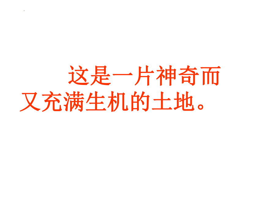 8.3撒哈拉以南非洲──黑种人的故乡课件(共63张PPT)2022-2023学年人教版地理七年级下册