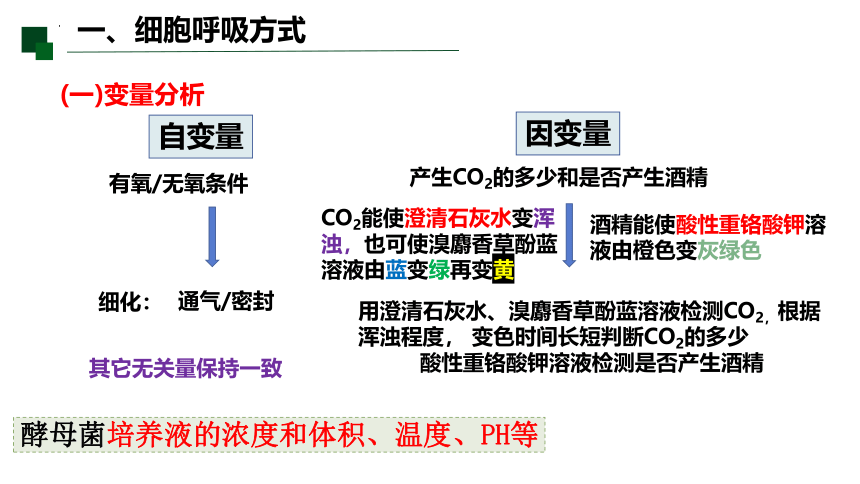 5.3.1 细胞呼吸的原理和应用课件-2022-2023学年高一上学期生物人教版（2019）必修1  课件 (共21张PPT)