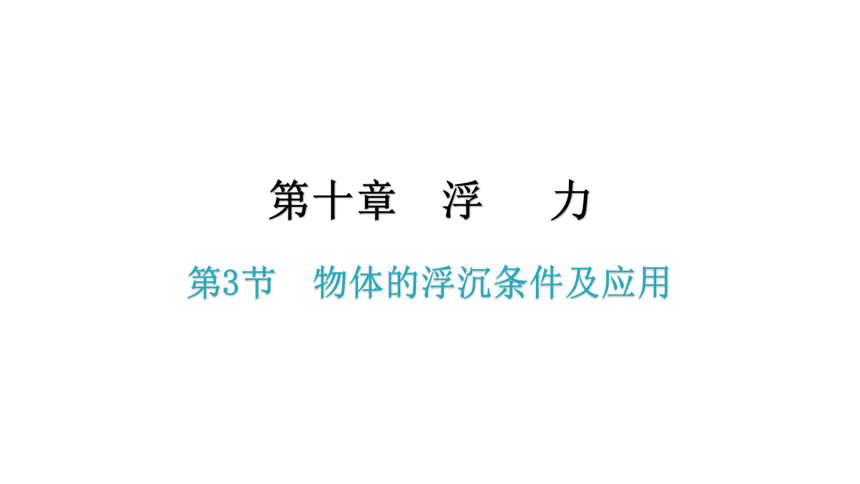 10.3  阿基米德原理 习题课件—2020-2021学年人教版八年级物理下册（26张PPT）