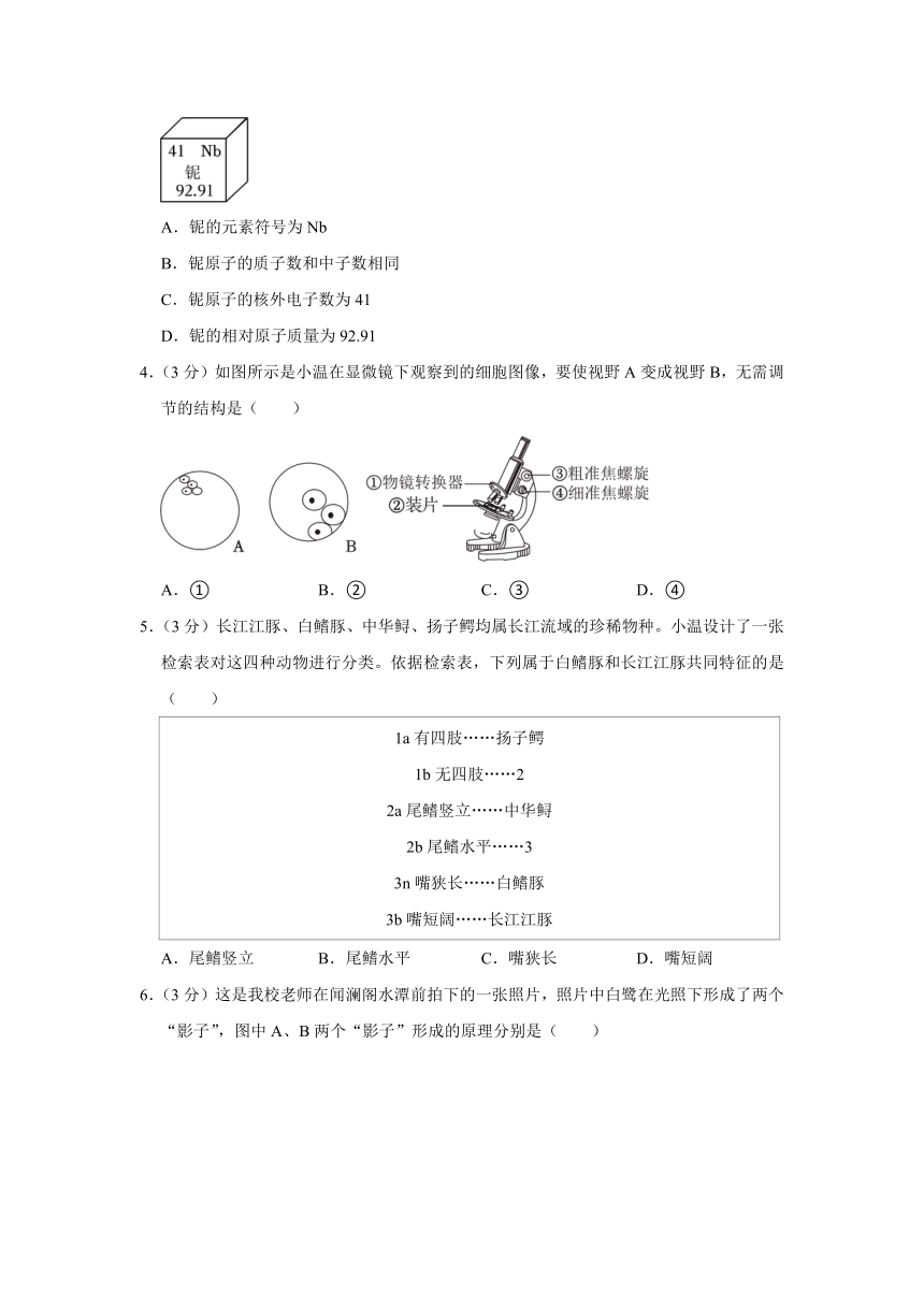 浙江省温州市外国语学校2023-2024学年九年级下学期返校考科学试题（含答案）