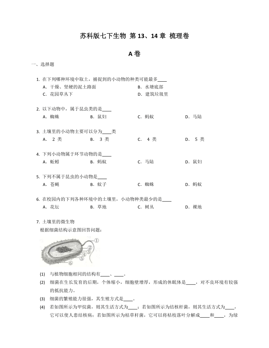 第5单元   第13&14章生物的命名和分类 梳理卷（含答案）苏科版七下生物