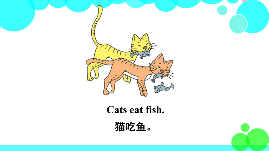 Unit2 Lesson11 What DoThey Eat? 课件（14张PPT，内嵌音频）