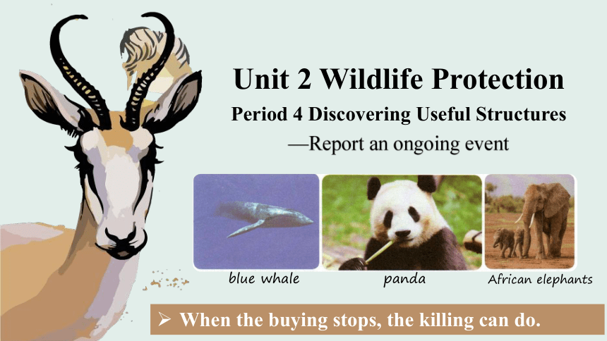 人教版（2019）必修第二册Unit 2 Wildlife Protection Discovering Useful Structures课件(共21张PPT)