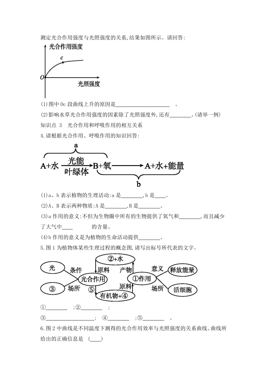 浙教版八年级科学下册同步课时练习：3.6 光合作用  第2课时（含答案）
