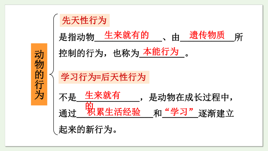 6.18.2 动物行为的生理基础课件(共22张PPT)2023-2024学年初中生物苏教版八年级上册