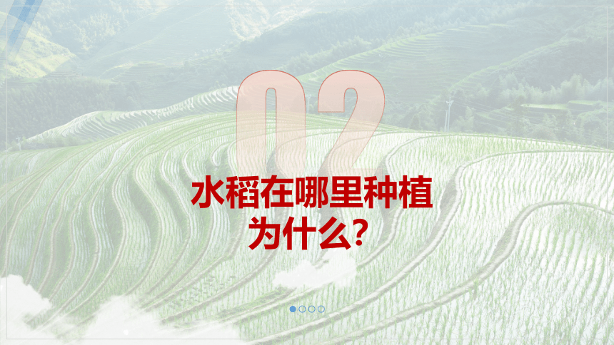 2.3.1农业区位因素与农业布局-(共40张PPT)课件2023-2024学年高一地理（湘教版2019必修第二册）