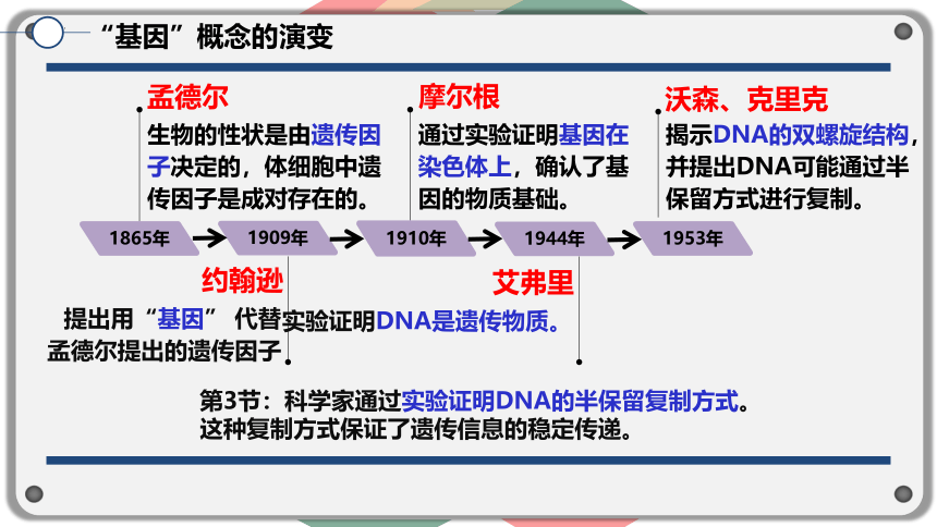 生物人教版（2019）必修2 3.4基因通常是有遗传效应的DNA片段（课件共18张ppt）