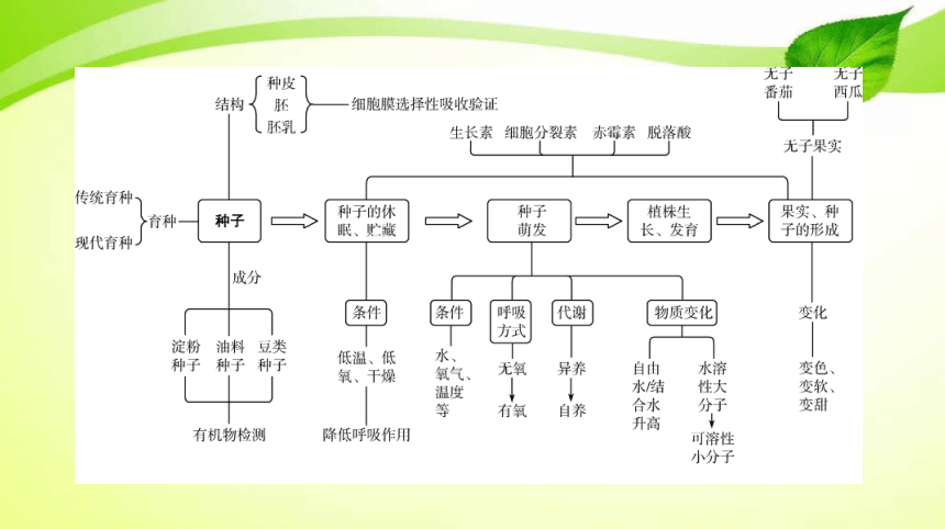 高考生物二轮总复习导学案：专题10 生物热点主题4 种子与果实(共9张PPT)