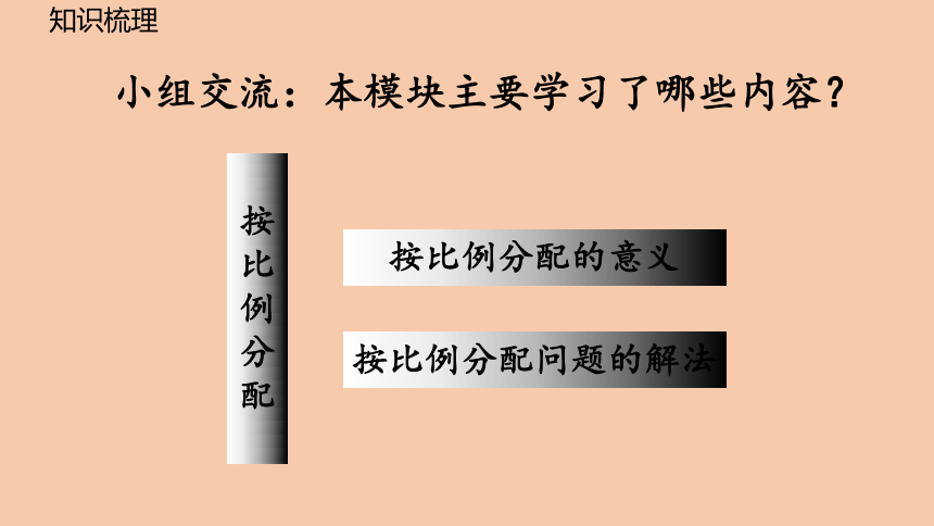 西师大版数学六年级上册 总复习—— 按比例分配 课件（15页PPT）