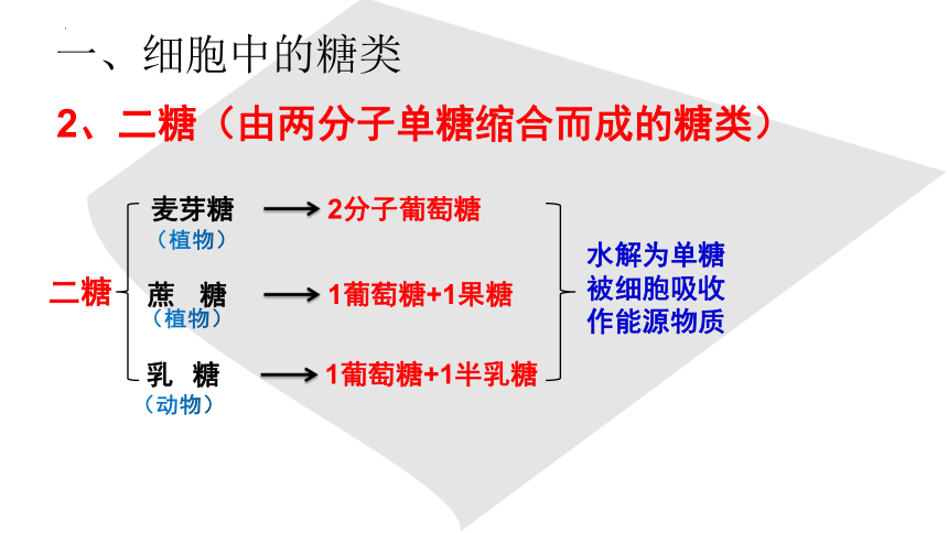 2021-2022学年高一上学期生物人教版必修1-2.4细胞中的糖类和脂质课件（共20张ppt）