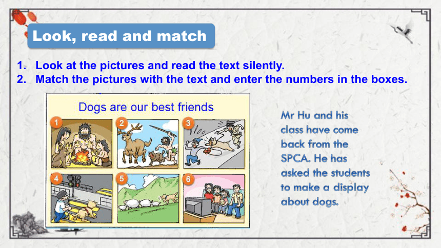 Unit 2 Our animal friends Stage 4 课件（共27张PPT)