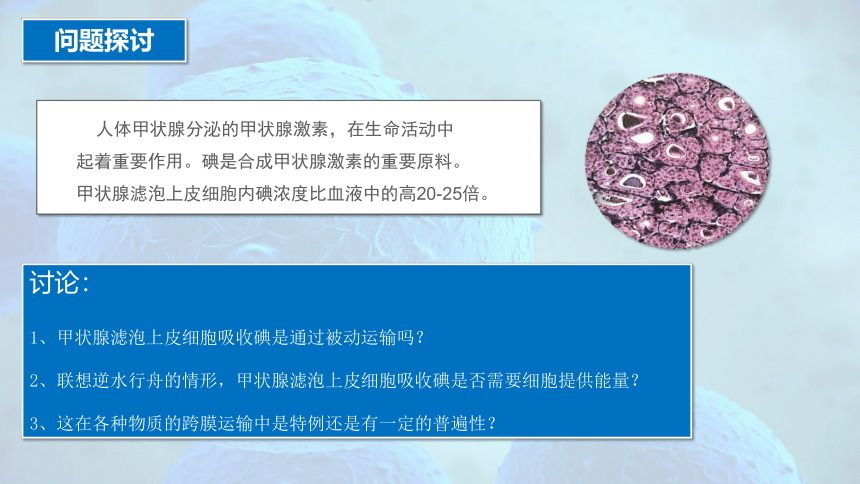 4.2 主动运输与胞吞、胞吐-高一生物课件（共29张PPT）（人教版2019必修1）