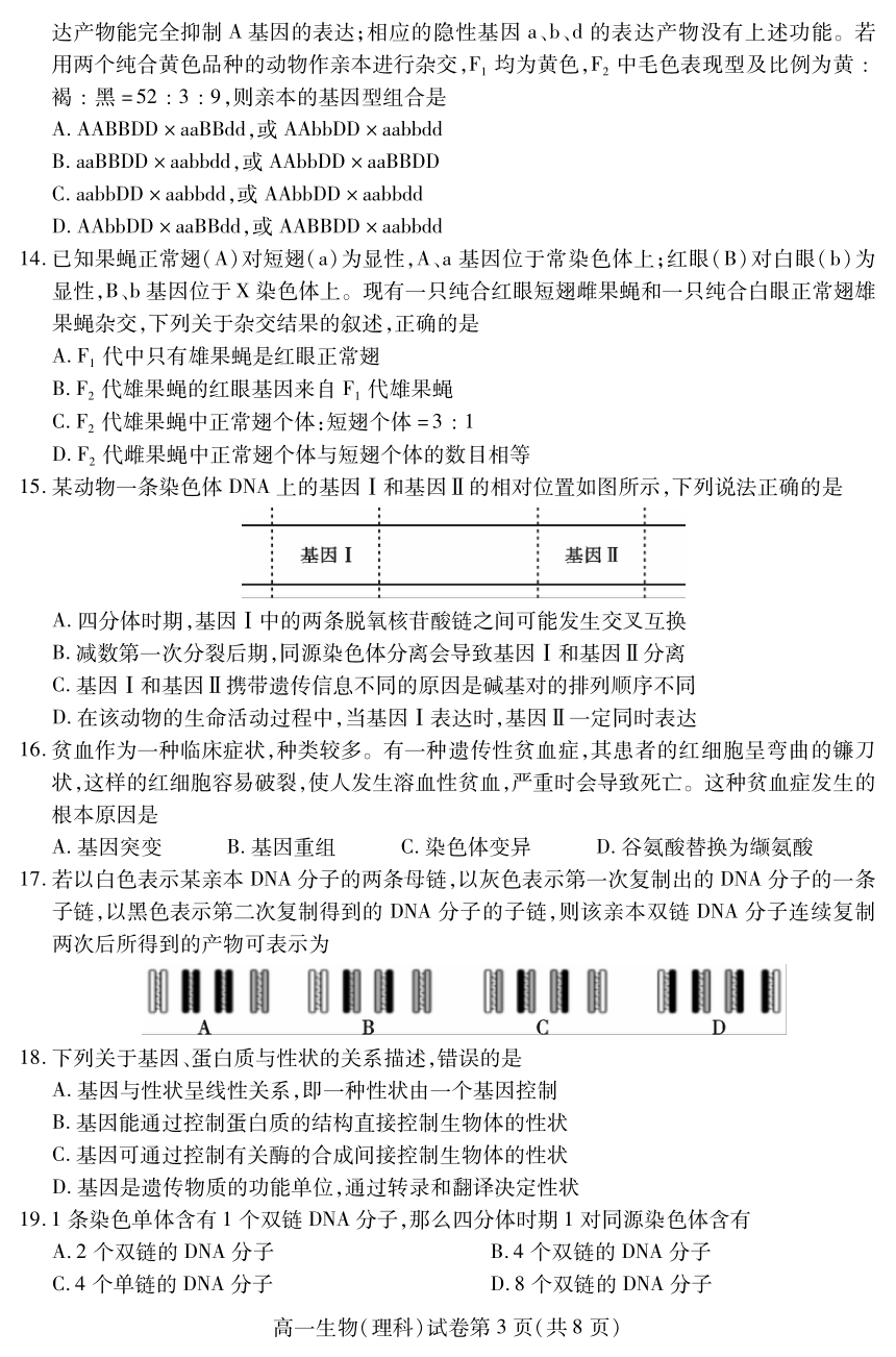 四川省内江市2020-2021学年高一下学期期末检测题生物（理）试题 PDF版含答案