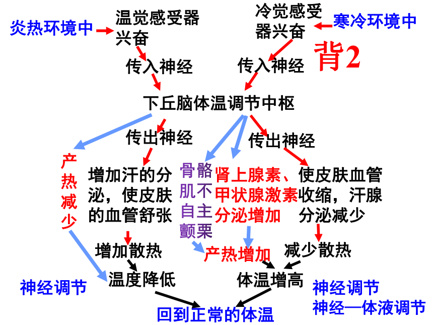 2020-2021学年高二生物人教版必修三2.3神经调节和体液调节的关系课件（32张ppt）