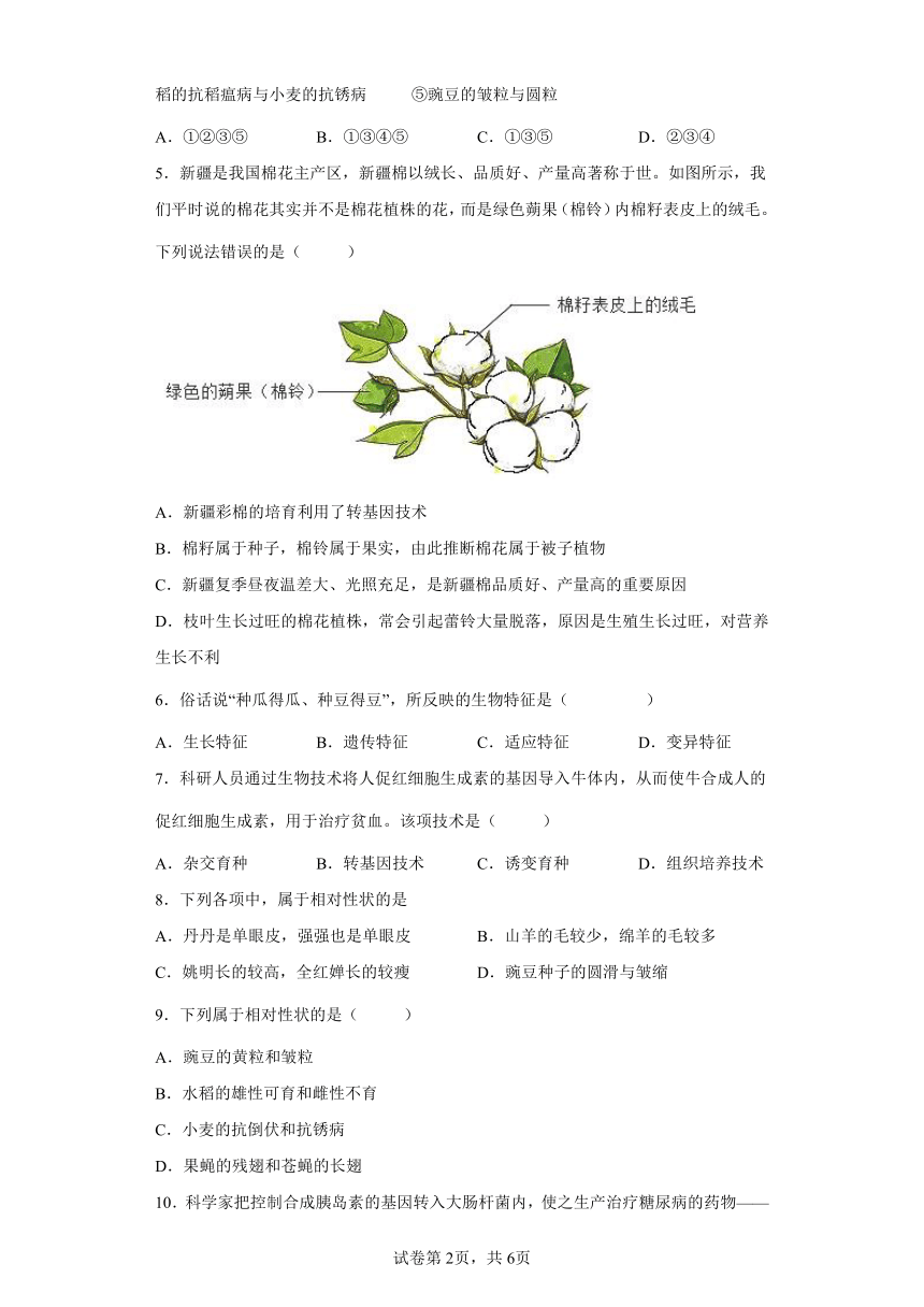 人教版八年级下册7.2.1基因控制生物的性状同步练习（word版 含解析）