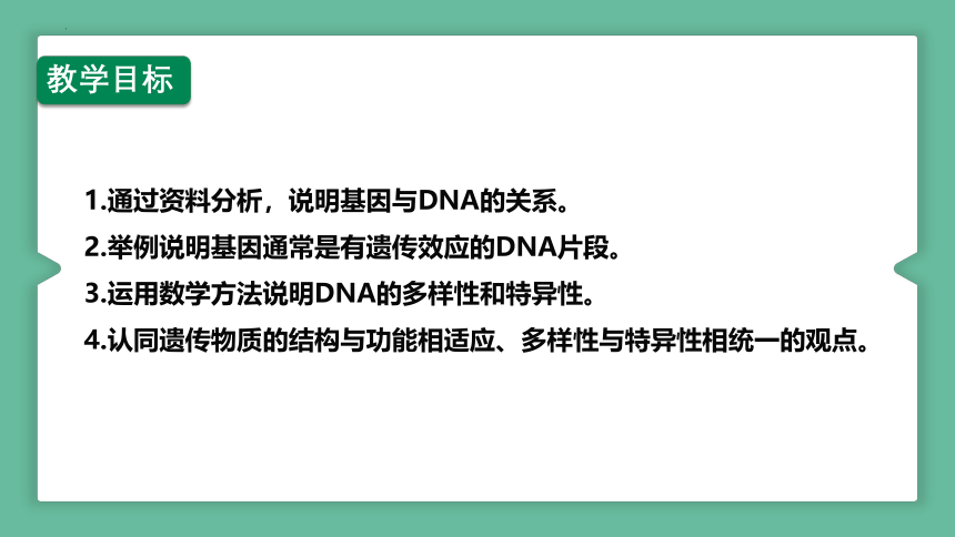 生物人教版(2019)必修2 3.4基因通常是有遗传效应的DNA片段（共25张ppt）