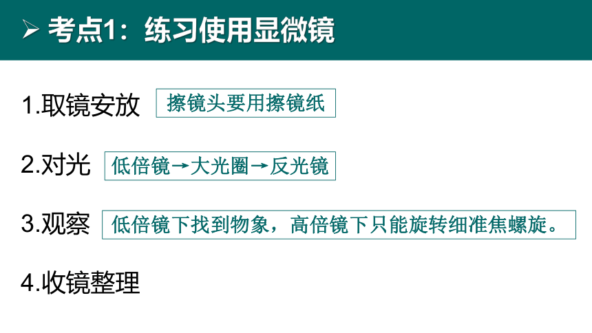 初中生物 会考复习 第二单元 生物体的结构层次（27张PPT）