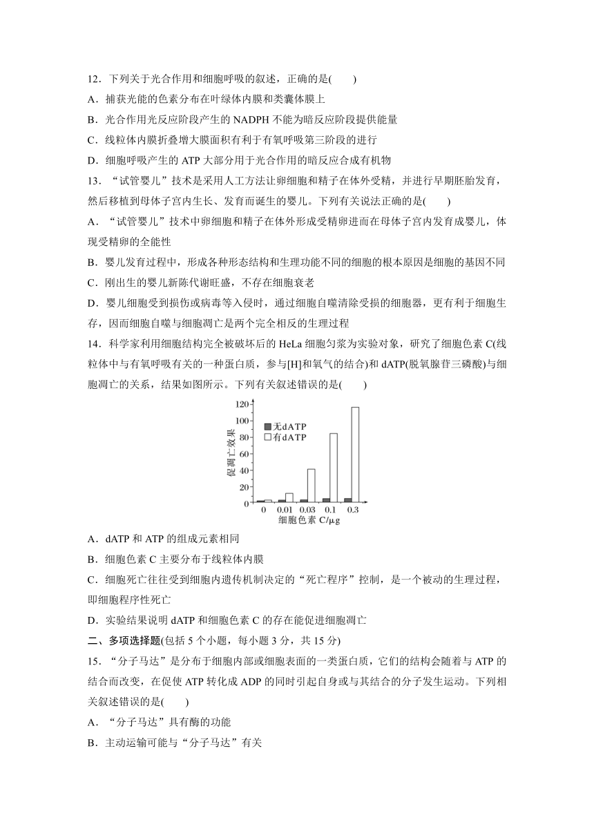 2022-2023学年苏教版2019高中生物必修1 模块检测试卷(二)（word含解析）