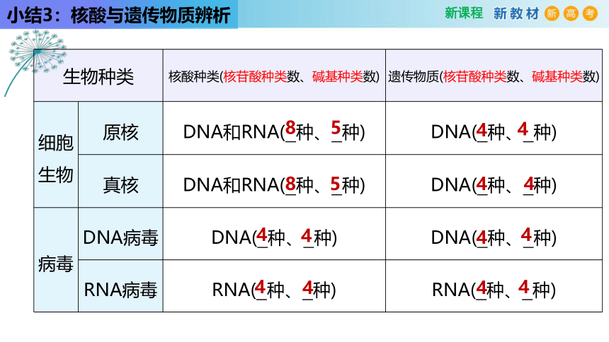 2.5核酸是遗传信息的携带者（2课时）(课件共22张PPT)