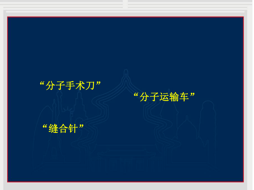 选修3 第一章 第二节 基因工程的原理和技术 课件（21张）