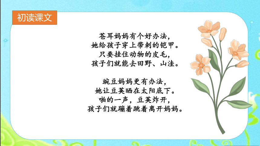 3植物妈妈有办法 课件 (共21张PPT)