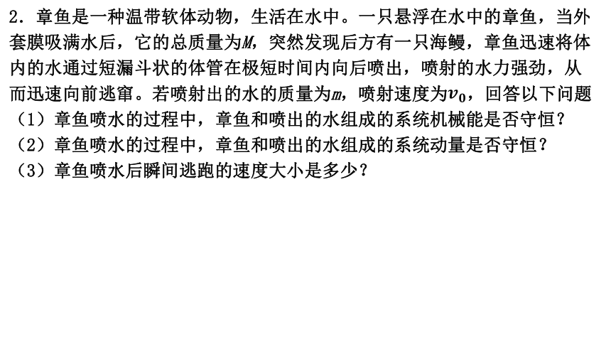 物理人教版（2019）选择性必修第一册1.3 动量守恒定律 课件（共17张ppt）