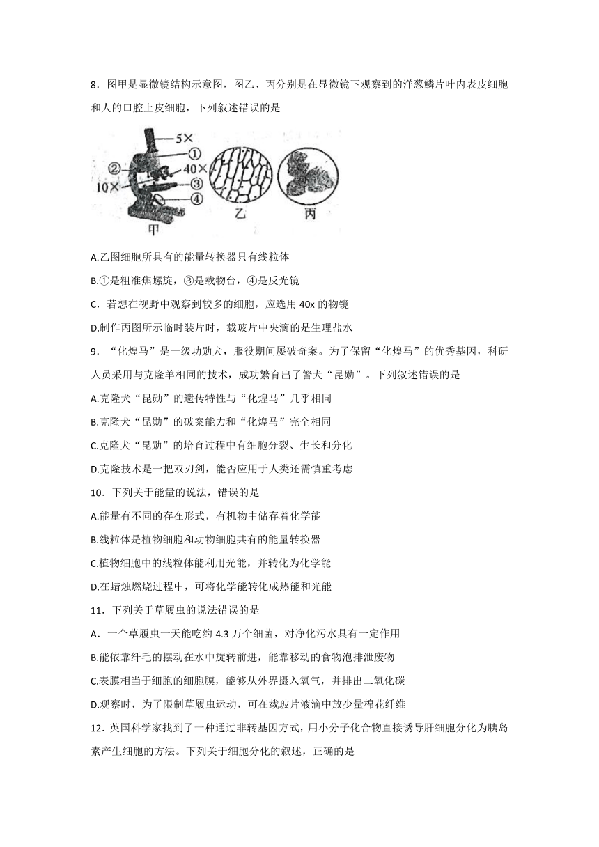 山东省泰安市肥城市（五四学制）实验中学2021-2022学年六年级上学期期末考试生物试题（word版含答案）