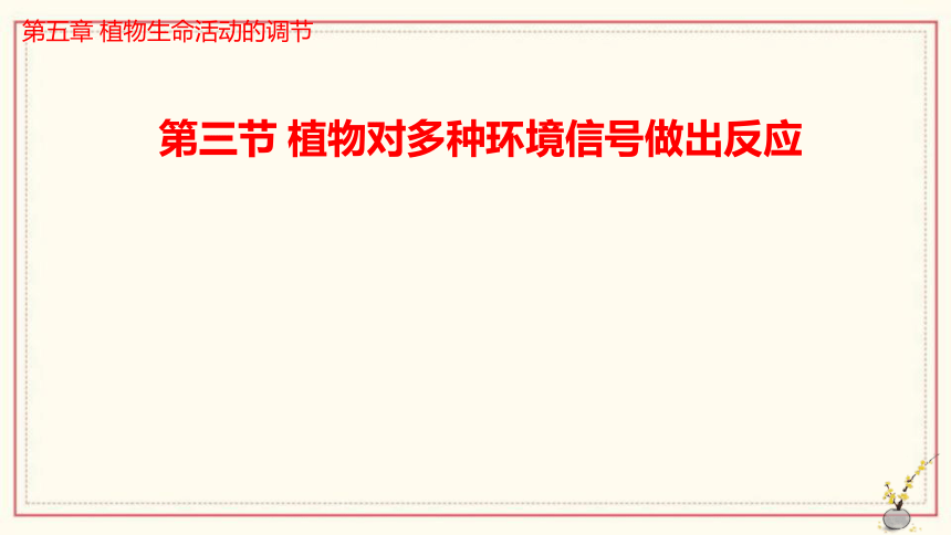 5.3植物对多种环境信号做出反应课件(共30张PPT)2022-2023学年高二上学期生物浙科版选择性必修1