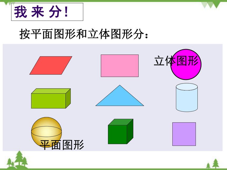 北师大版数学四年级下册 二 图形分类课件(共24张PPT)