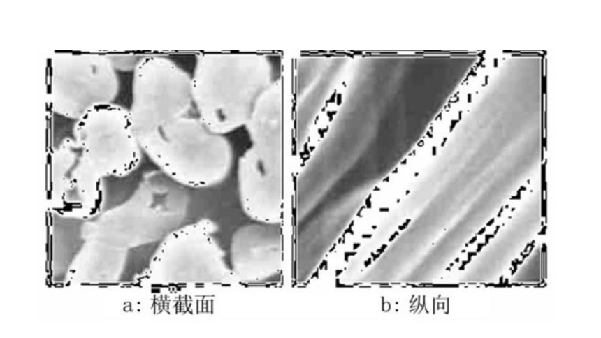 牛奶纤维  课件(共14张PPT)-《服装材料》同步教学（中国纺织出版社）