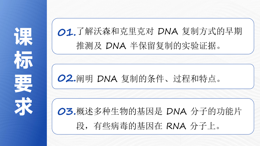 3.3 DNA 的复制课件(共28张PPT)人教版必修2