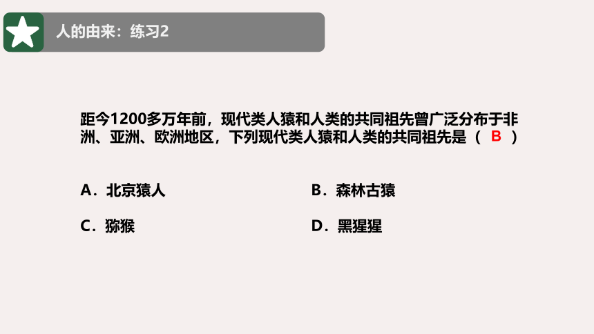 人教版七年级下册生物期末复习课件（共83张ppt）