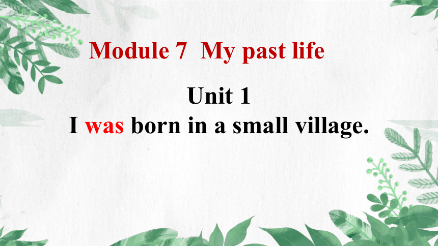 外研版  七年级下册  Module 7 My past life    Unit 1 I was born in a small village.课件(共21张PPT)
