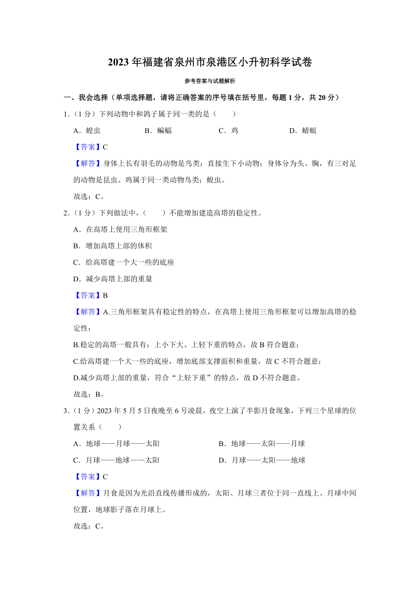 福建省泉州市泉港区2022-2023学年六年级下学期期末小学毕业班科学学业水平测查卷（含解析）