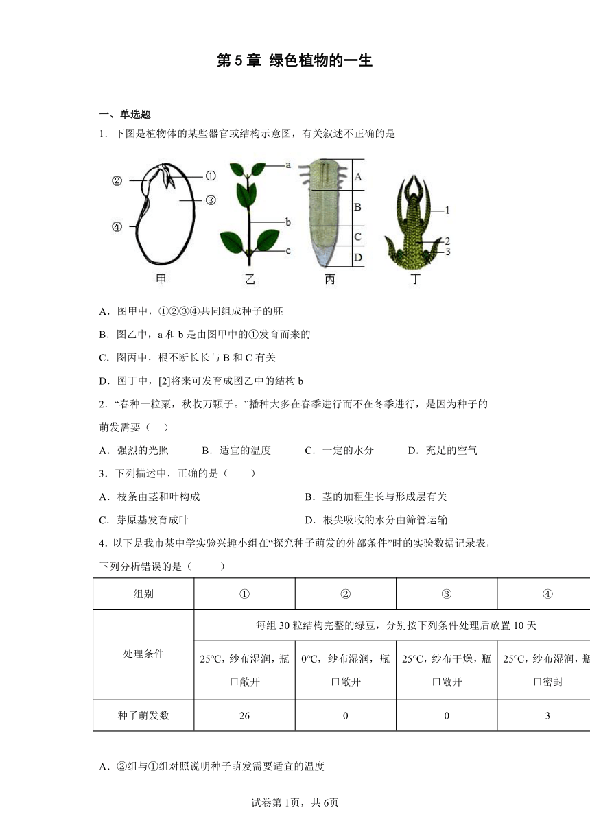第5章 绿色植物的一生 练习 苏教版七年级上册生物（含答案）