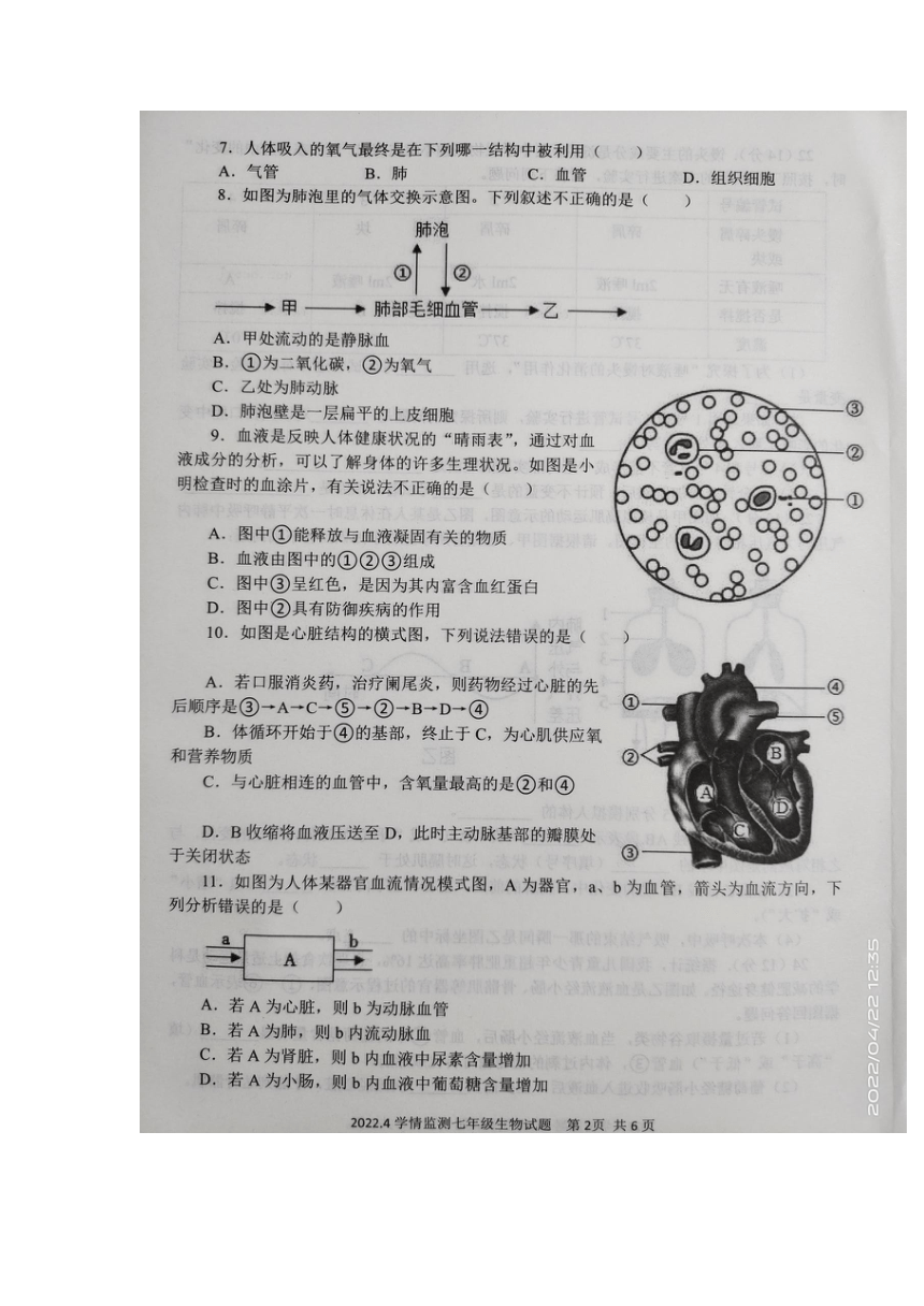 山东省济宁市金乡县2021-2022学年下学期七年级下册 期中考试生物试题（图片版含答案）