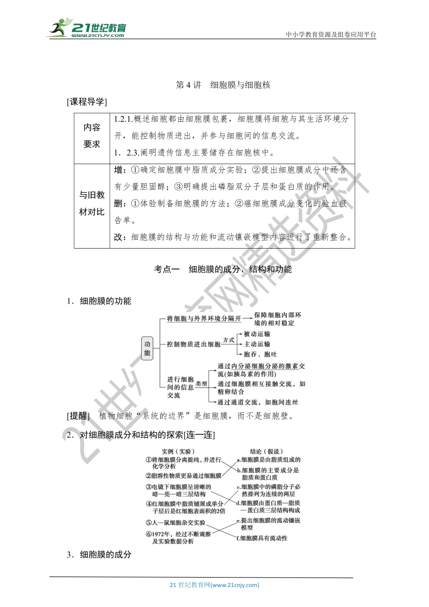 【考点梳理  生物总复习 】6第4讲　细胞膜与细胞核（Word版含答案）