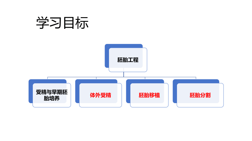 2.3 胚胎工程（第2课时）(共38张PPT)-2023-2024学年高二生物下学期（人教版2019选择性必修3）