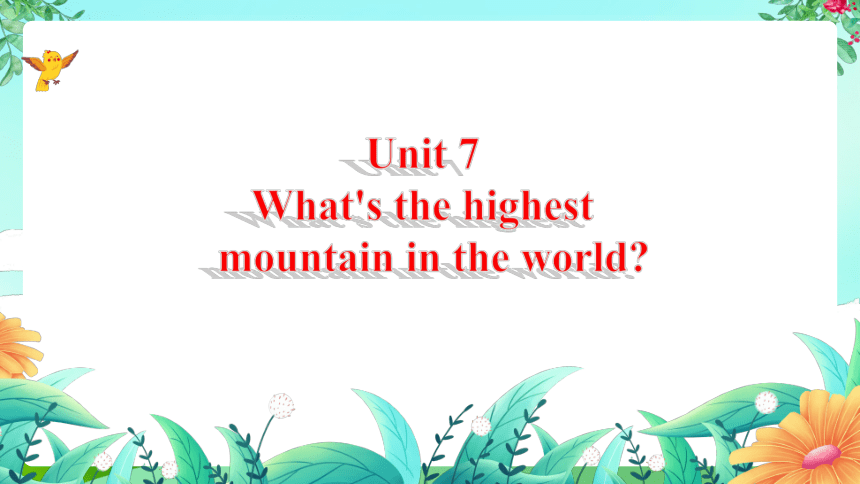 人教版八年级下册Unit7What's the highest mountain in the world?复习课件(共20张PPT)