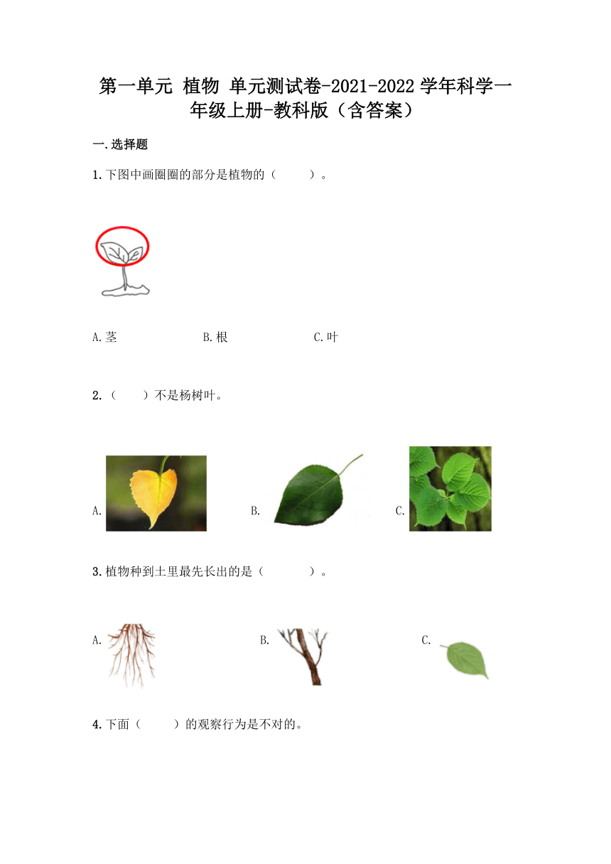 2021-2022学年教科版（2017秋）科学一年级上册第一单元 植物 单元测试卷（含答案）