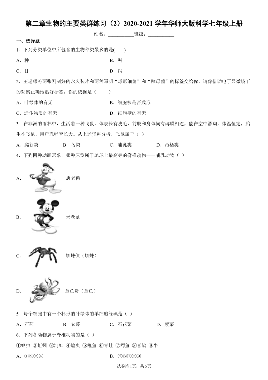 第2章 生物的主要类群 单元测试（有答案）