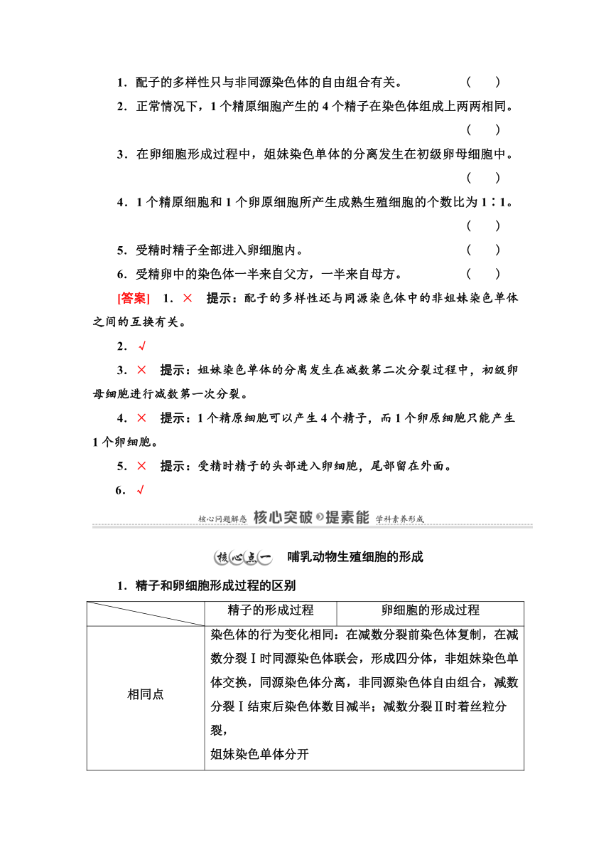 2020-2021学年苏教版（2019）高中生物： 必修2 第1章 第1节 第2课时 哺乳动物生殖细胞的形成、受精作用孕育新的生命 教案 Word版含答案