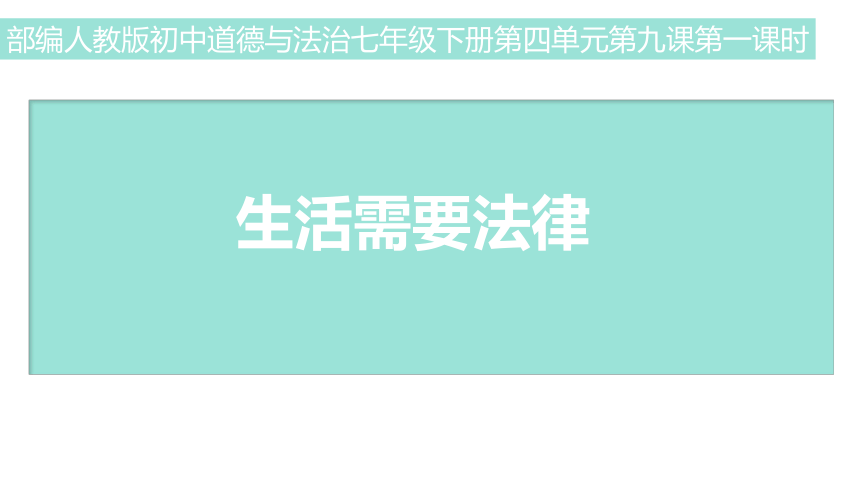 9.1 生活需要法律 课件(共20张PPT)-2023-2024学年统编版道德与法治七年级下册