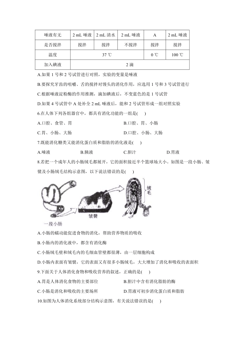 2020-2021学年七年级下册生物冀少版单元测试AB卷 第二单元第一章 合理膳食 平衡营养 B卷（word 答案解析版）